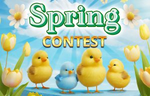 Elizabeth C won a $500 gift card on April 1, 2024.